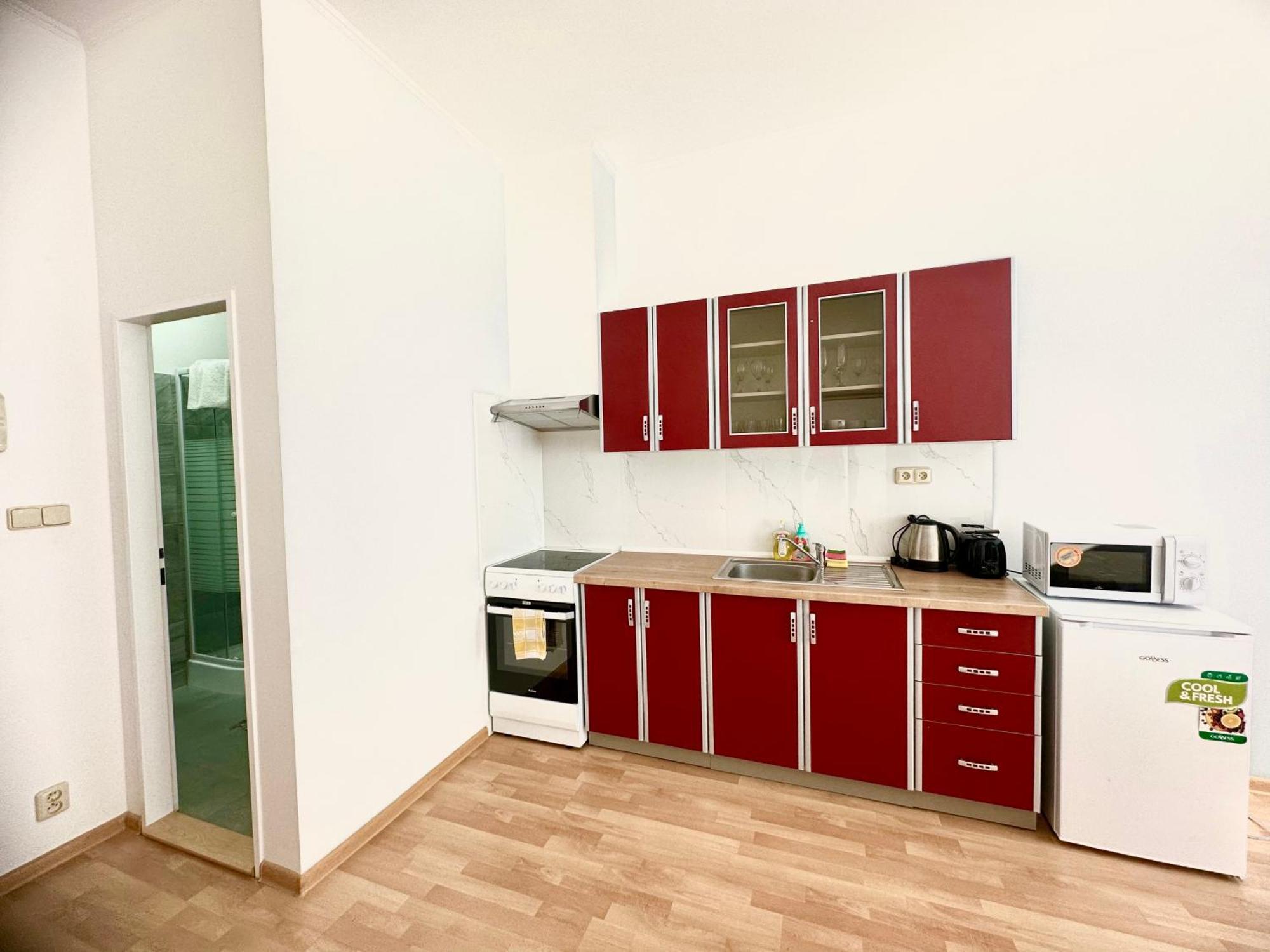 Apartment Erika การ์โลวีวารี ห้อง รูปภาพ